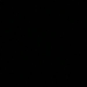 Meet your Posher, Kyler